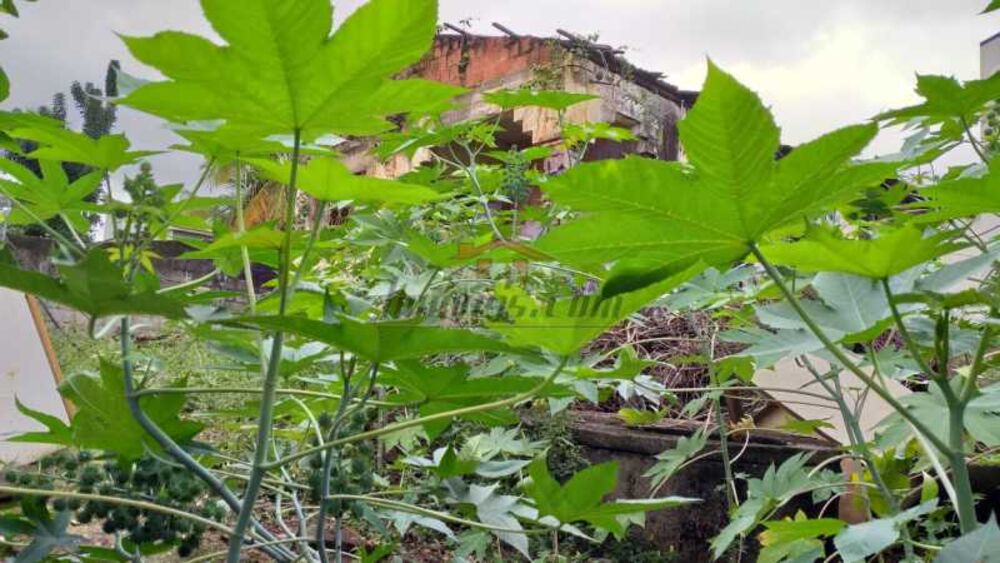 Terreno à venda, 580 - Foto 2