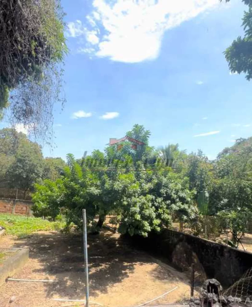 Terreno, 1 hectares - Foto 7