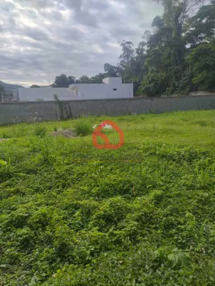 Terreno, 726 m² - Foto 4