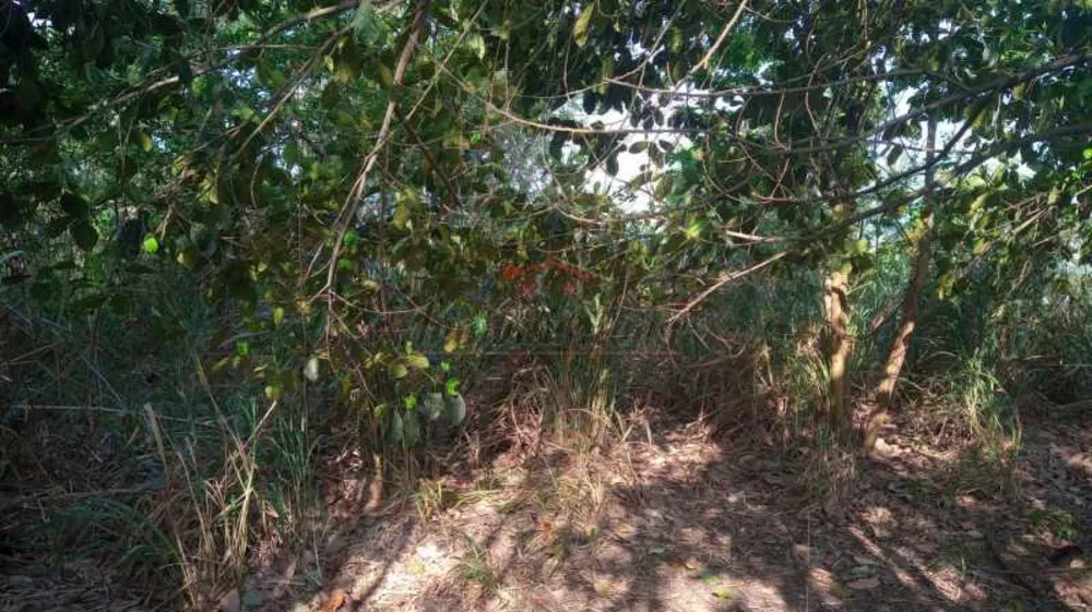 Terreno, 2478 m² - Foto 7