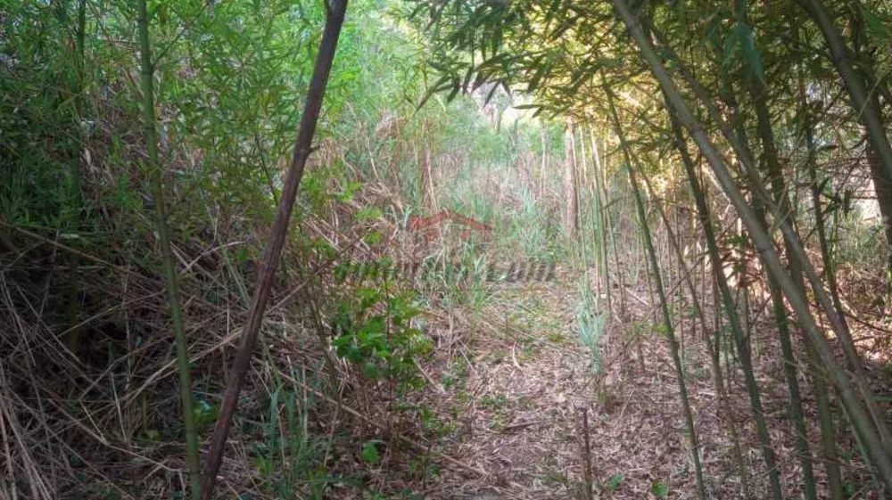 Terreno, 2478 m² - Foto 3