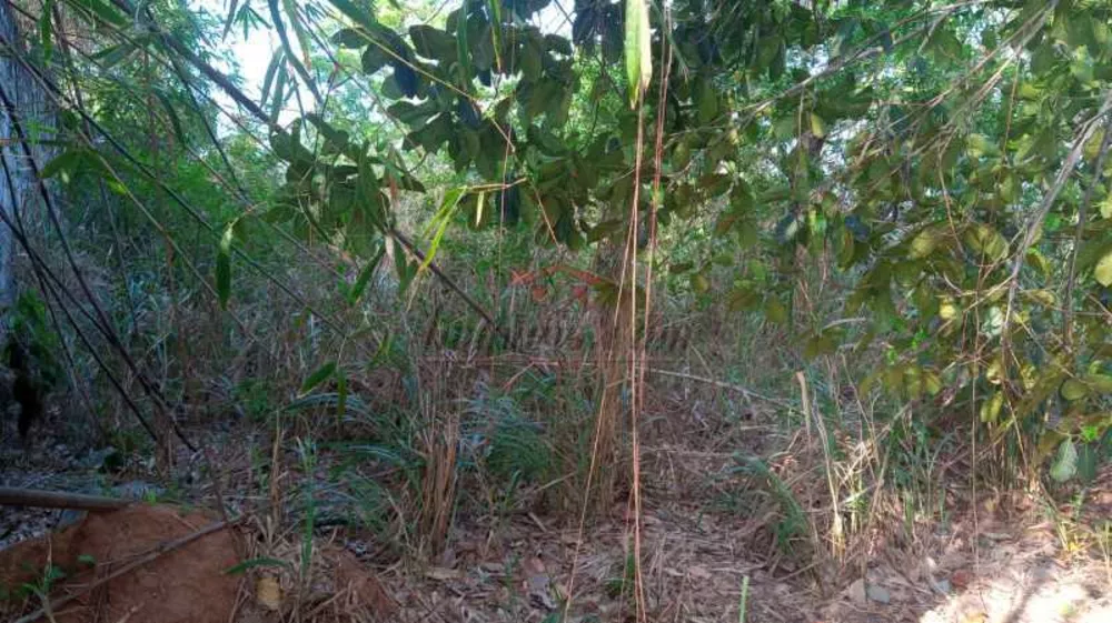 Terreno, 2478 m² - Foto 6