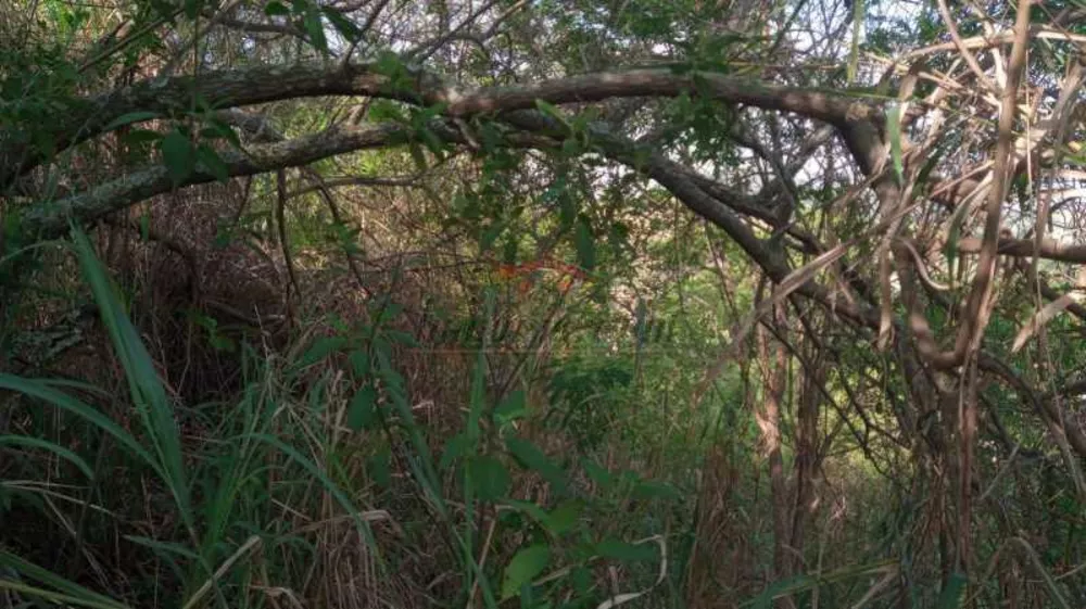 Terreno, 2478 m² - Foto 10