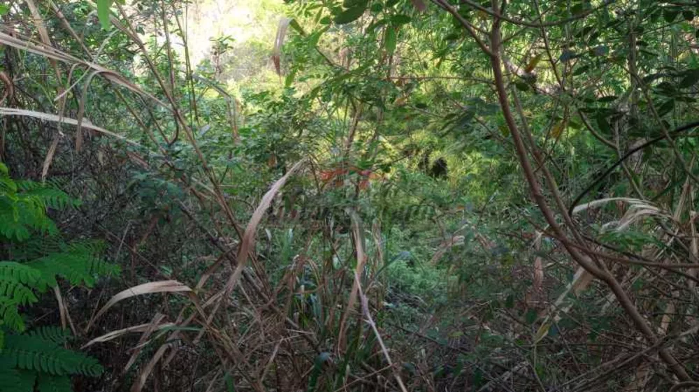 Terreno, 2478 m² - Foto 8