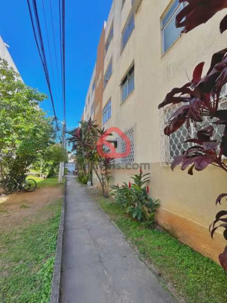 Apartamento, 3 quartos, 60 m² - Foto 12