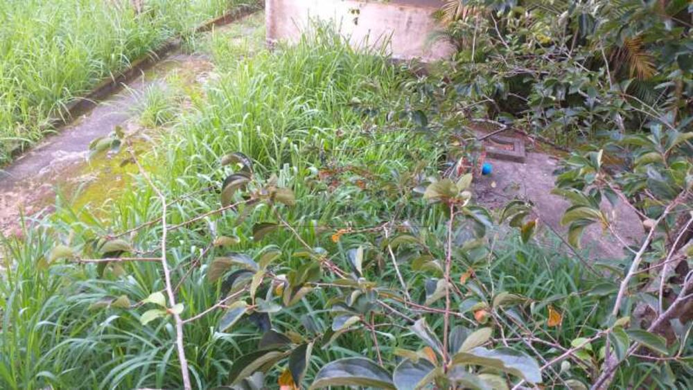 Terreno, 970 m² - Foto 23