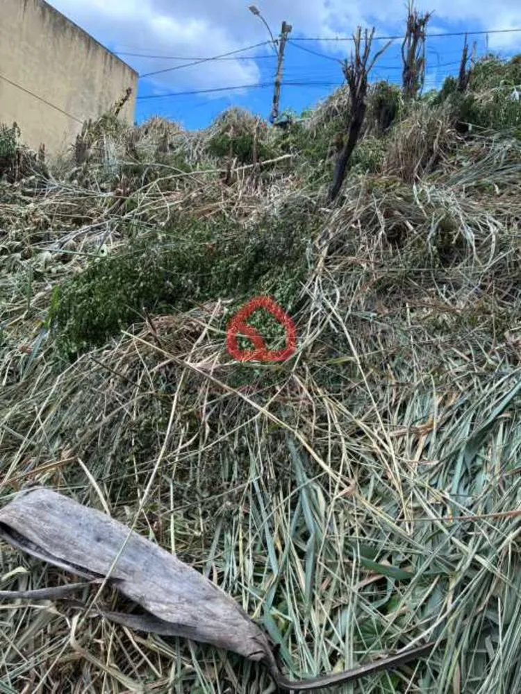 Terreno, 250 m² - Foto 7