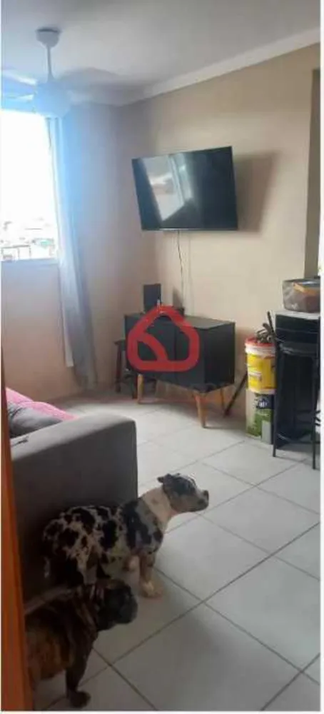 Apartamento, 2 quartos, 38 m² - Foto 2