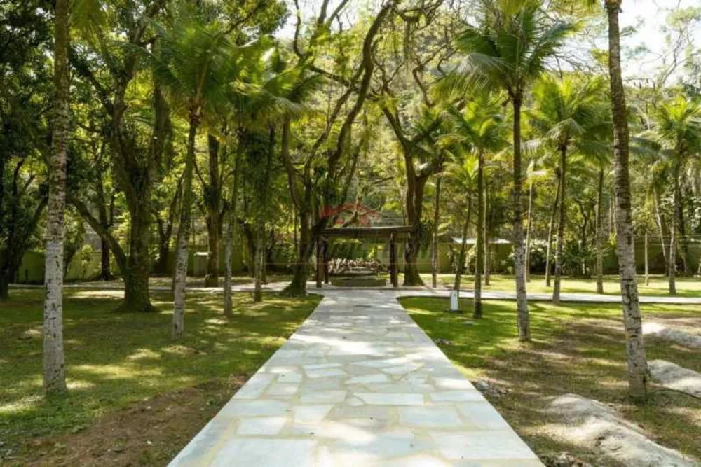 Terreno, 3 hectares - Foto 1