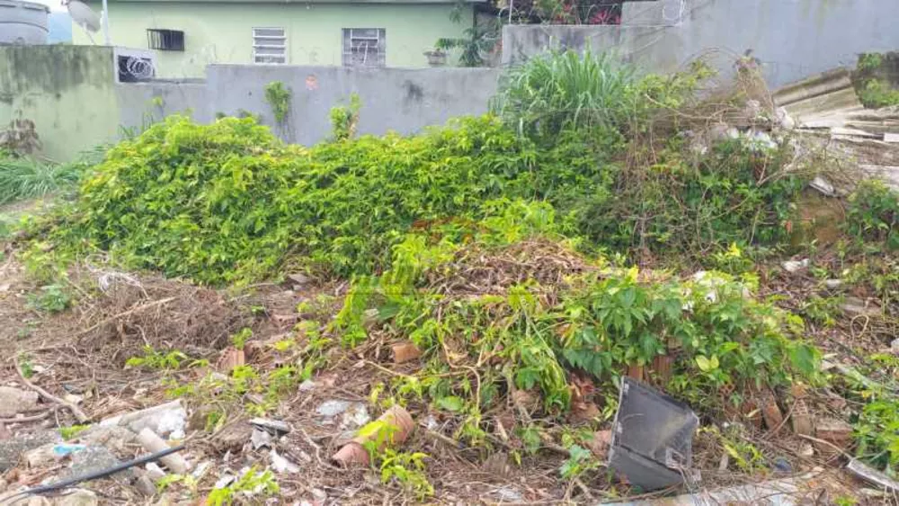 Terreno, 726 m² - Foto 13