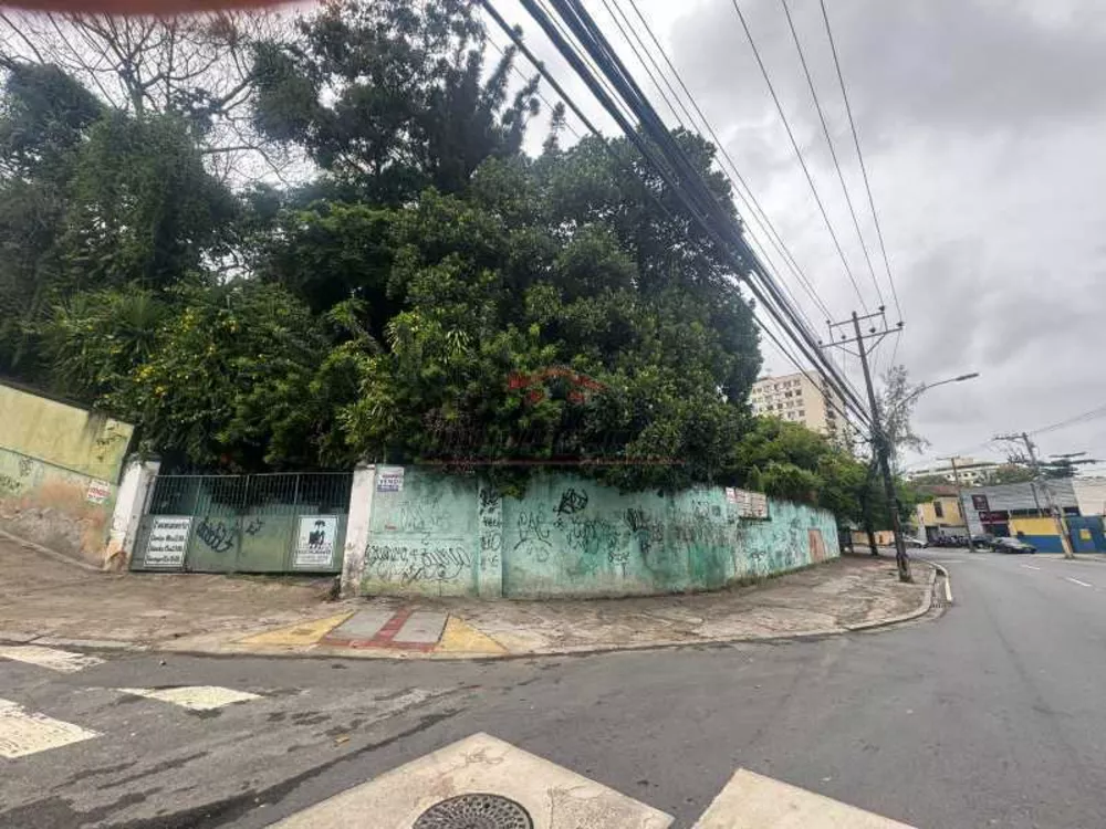 Sítio, 4474 m² - Foto 12