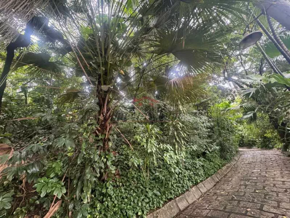 Sítio, 4474 m² - Foto 7