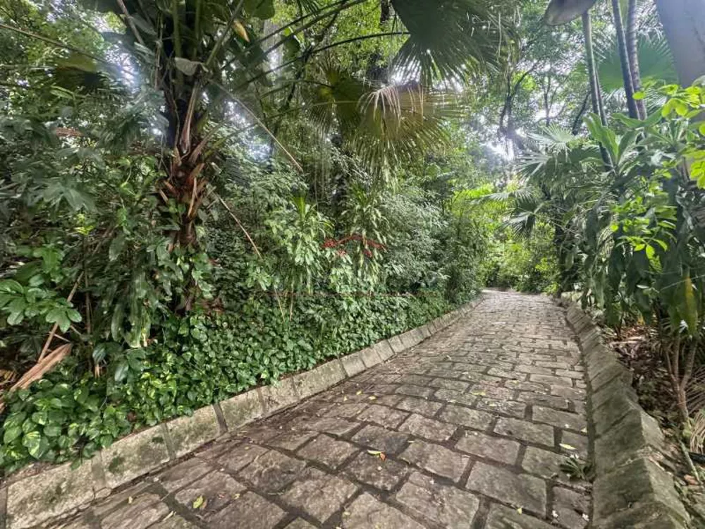 Sítio, 4474 m² - Foto 6