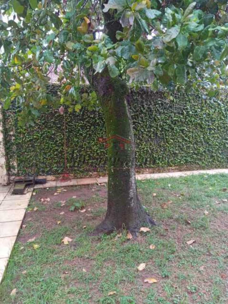 Casa, 3 quartos, 238 m² - Foto 26