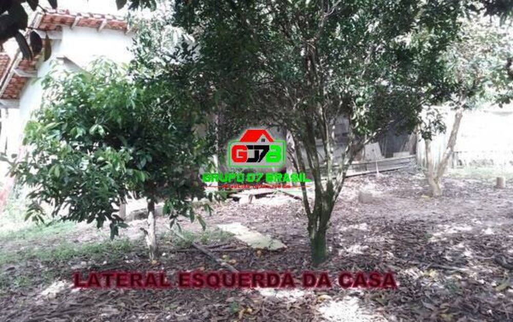 Chácara à venda com 3 quartos, 10000m² - Foto 8