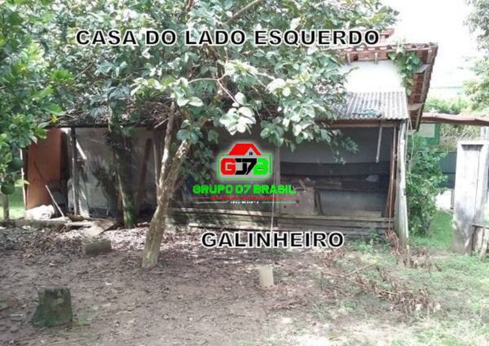 Chácara à venda com 3 quartos, 10000m² - Foto 14