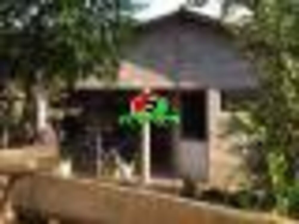 Chácara à venda com 3 quartos, 10000m² - Foto 35