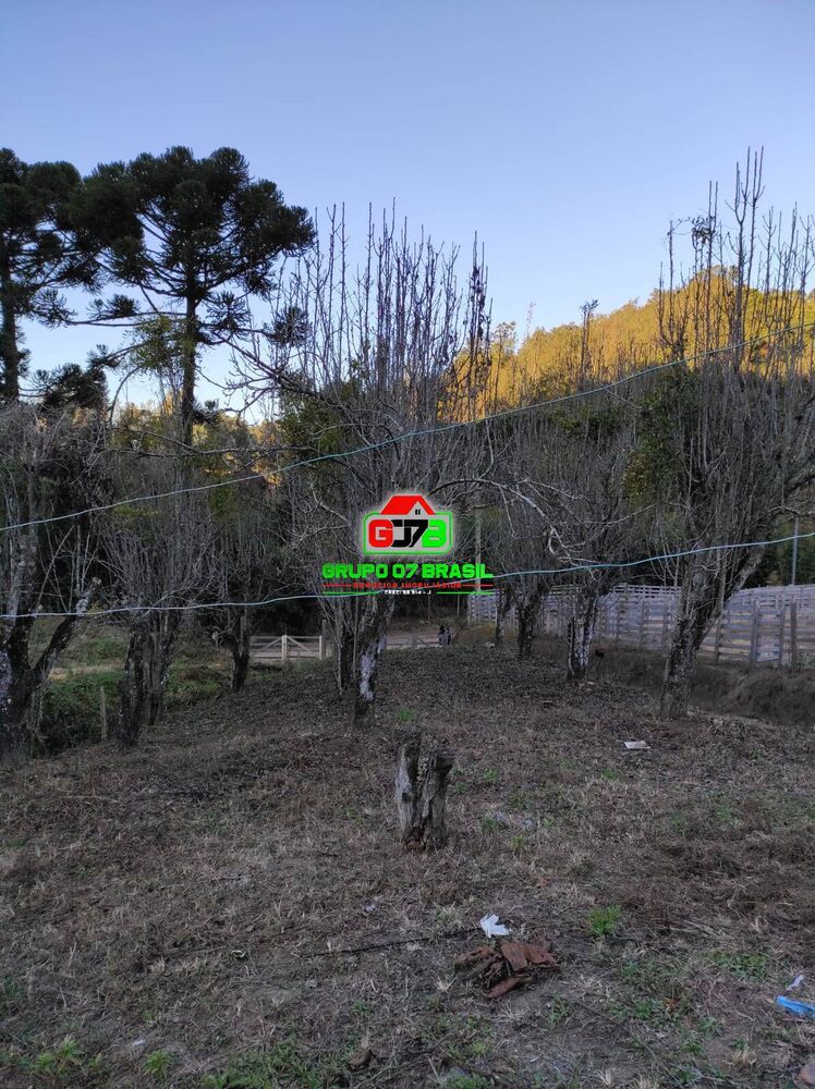 Terreno, 1000 m² - Foto 5