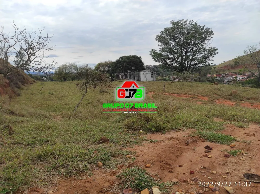 Terreno, 8 hectares - Foto 7