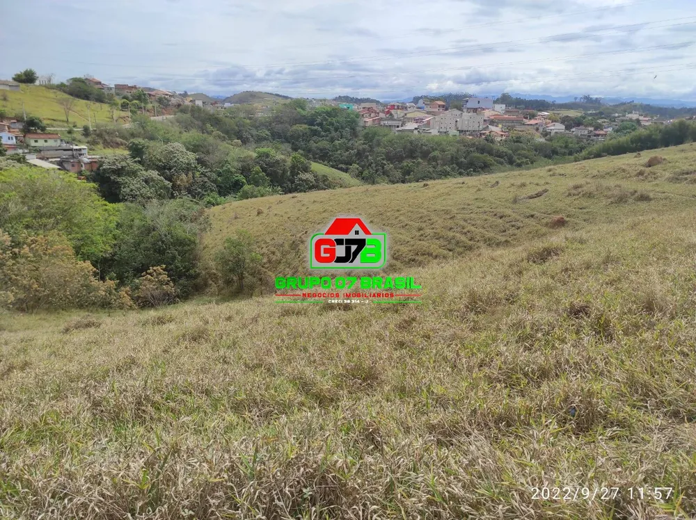 Terreno, 8 hectares - Foto 2