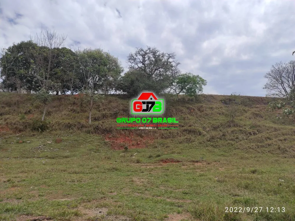 Terreno, 8 hectares - Foto 4