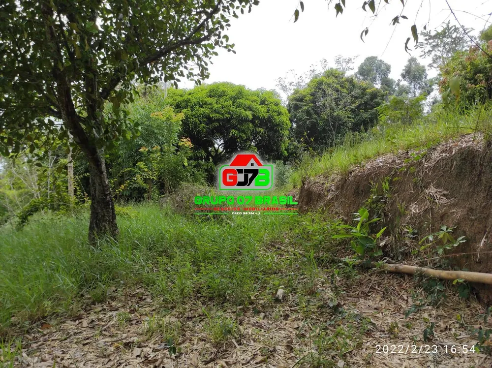 Terreno, 2 hectares - Foto 10