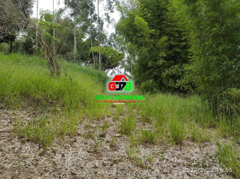 Terreno, 2 hectares - Foto 9