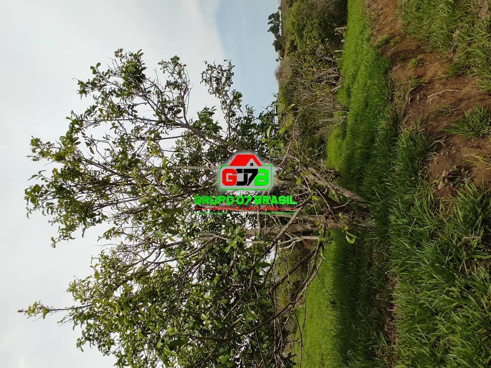 Terreno, 2 hectares - Foto 4