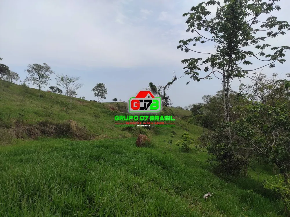 Terreno, 2 hectares - Foto 9