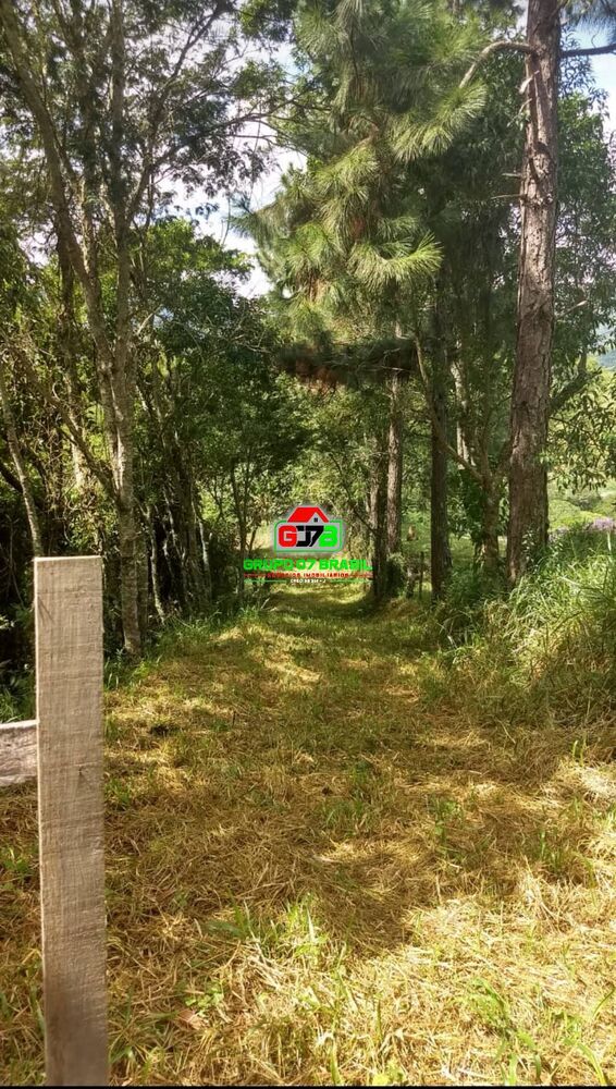 Terreno, 3 hectares - Foto 3