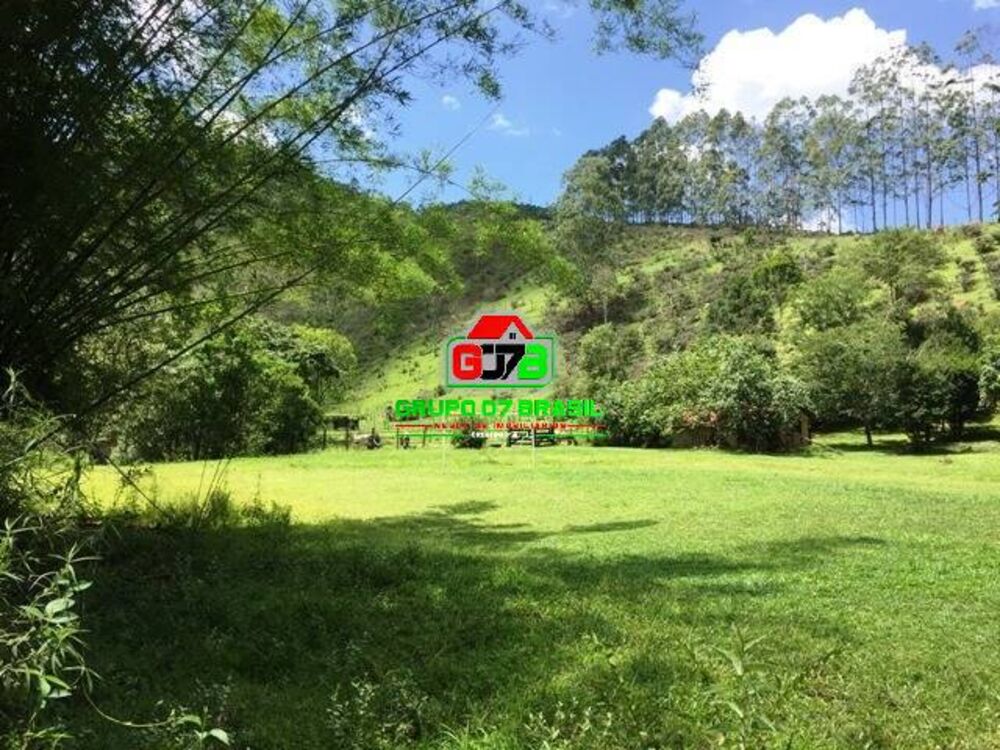 Sítio à venda com 5 quartos, 244000m² - Foto 5