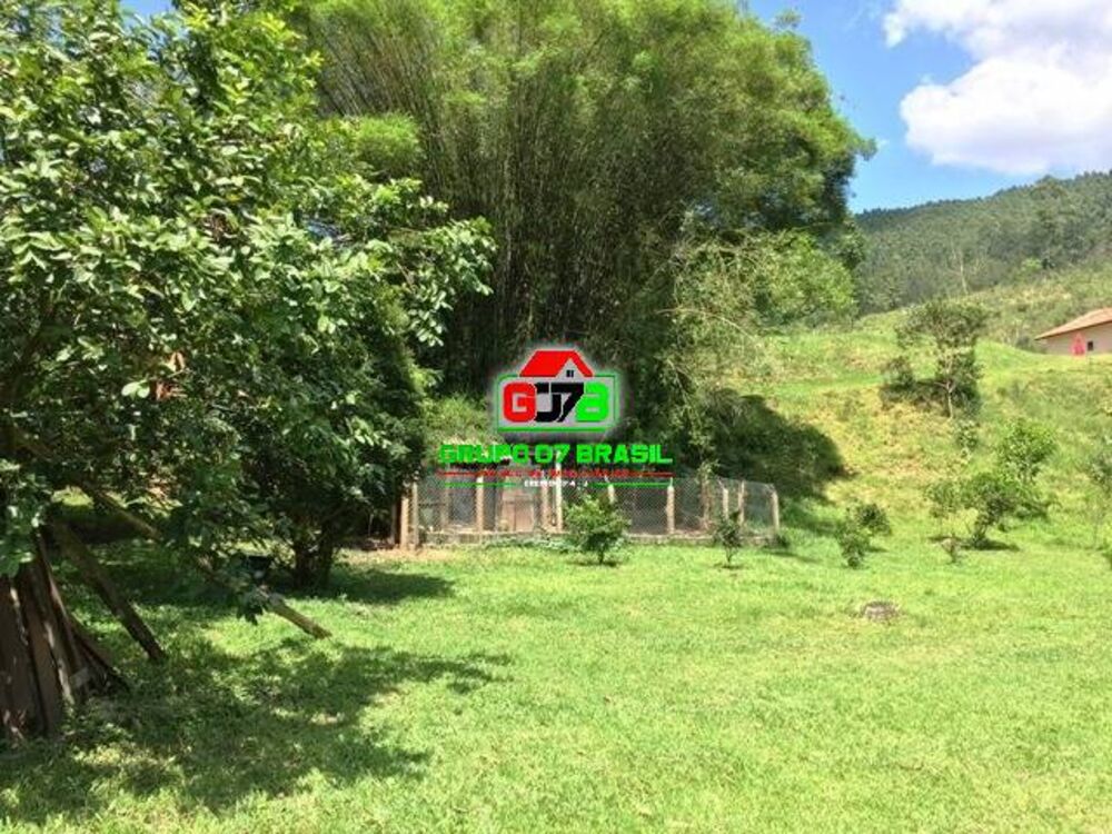 Sítio à venda com 5 quartos, 244000m² - Foto 6