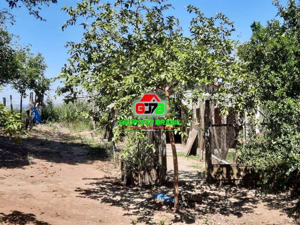 Terreno, 2 hectares - Foto 3