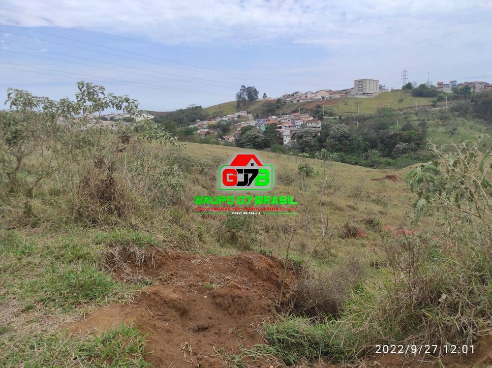 Terreno, 8 hectares - Foto 6