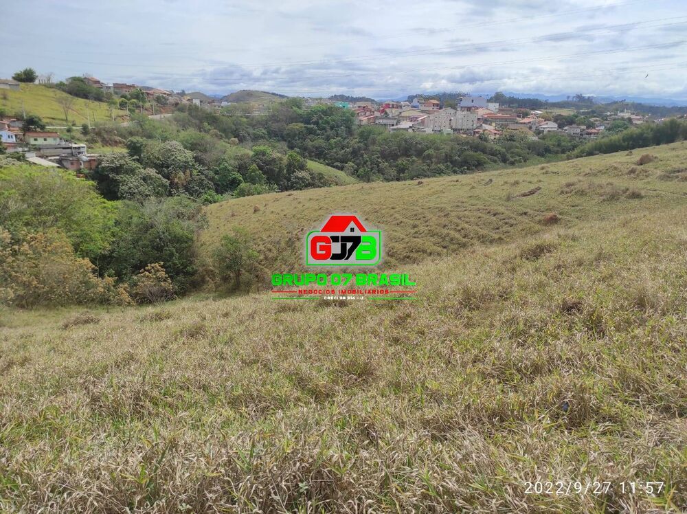 Terreno, 8 hectares - Foto 3