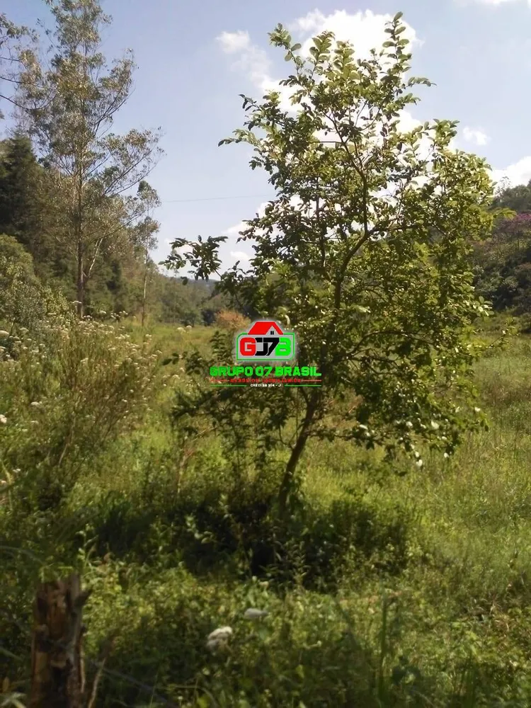 Terreno, 2 hectares - Foto 7