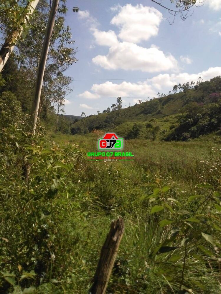 Terreno à venda, 24200m² - Foto 3