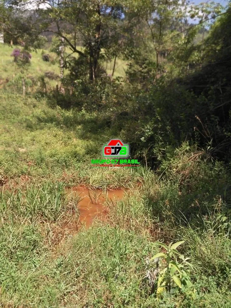 Terreno, 2 hectares - Foto 8