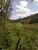 Terreno, 2 hectares - Foto 3