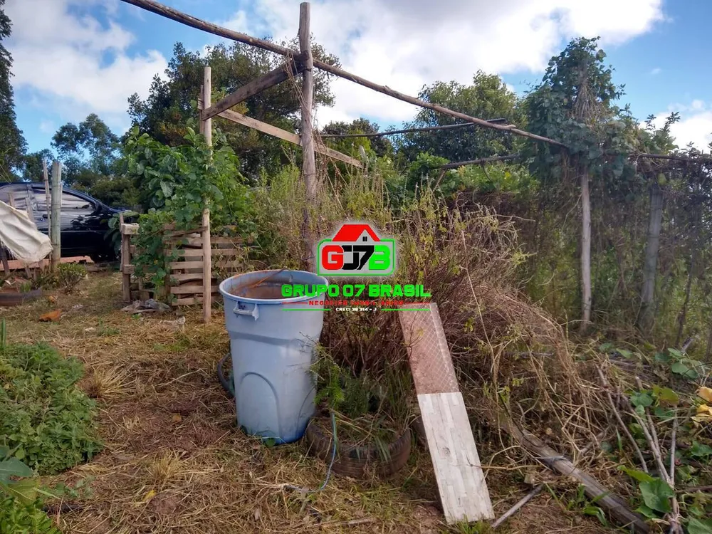 Chácara, 3 quartos, 3800 m² - Foto 12
