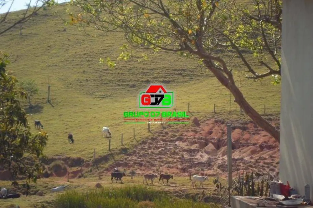 Fazenda, 224 hectares - Foto 12