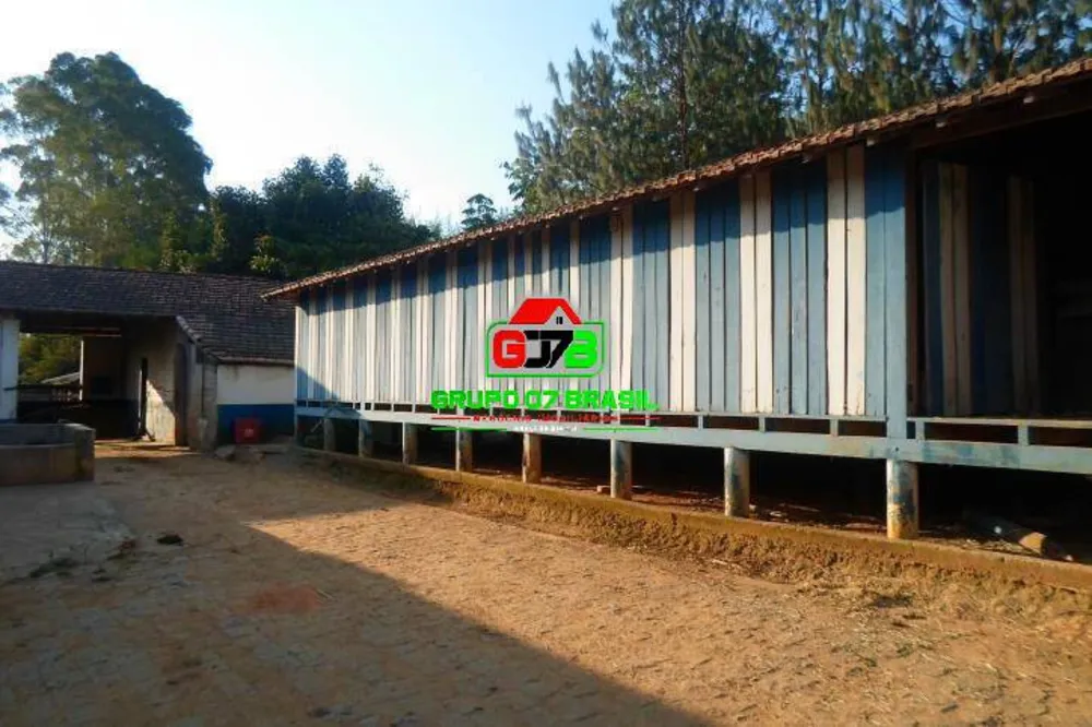 Fazenda, 224 hectares - Foto 17