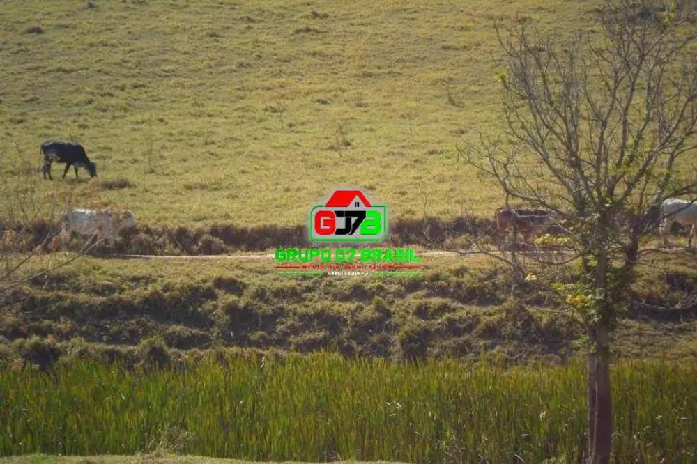 Fazenda, 224 hectares - Foto 15