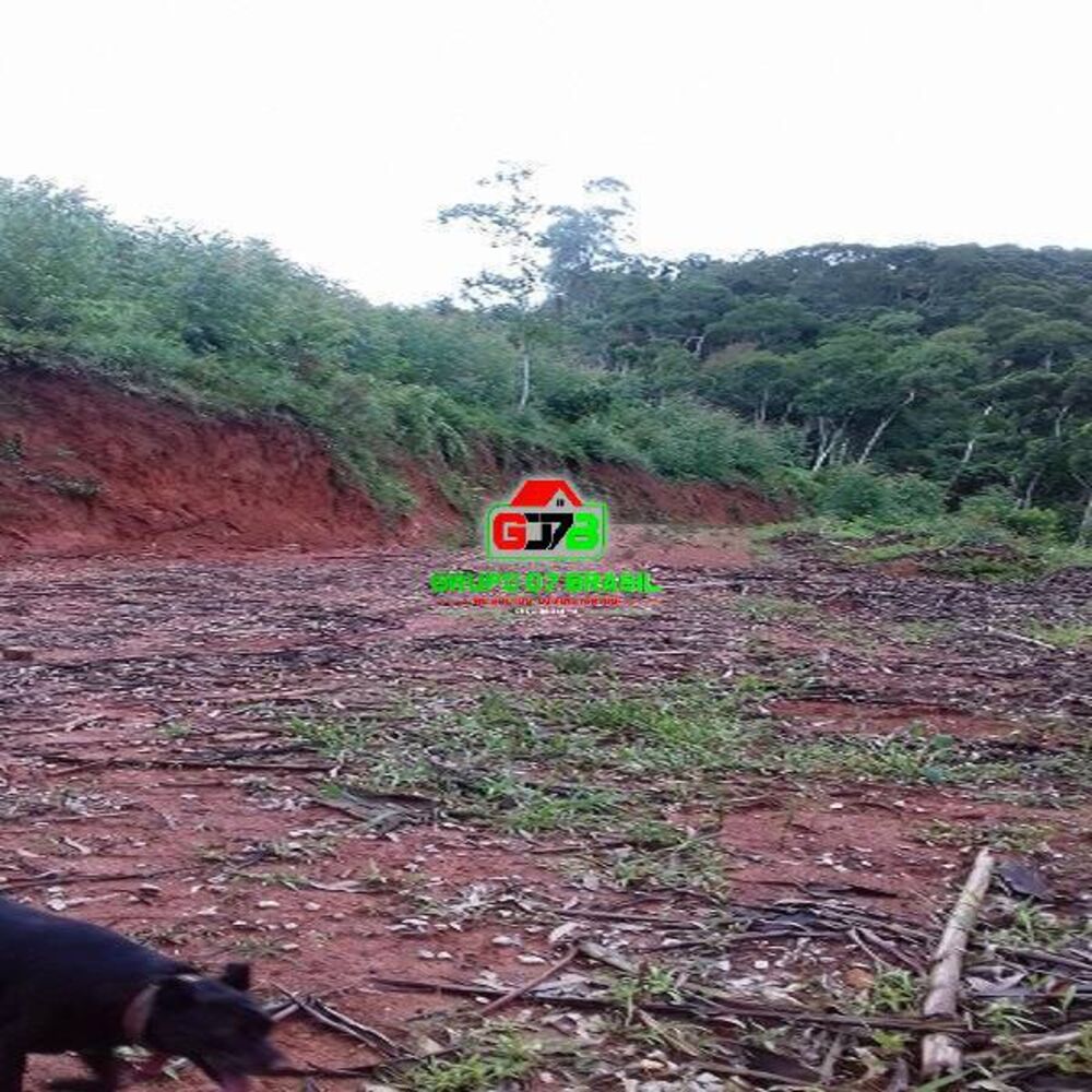 Terreno, 3 hectares - Foto 3