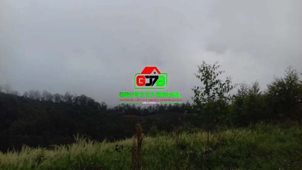 Terreno, 3 hectares - Foto 2