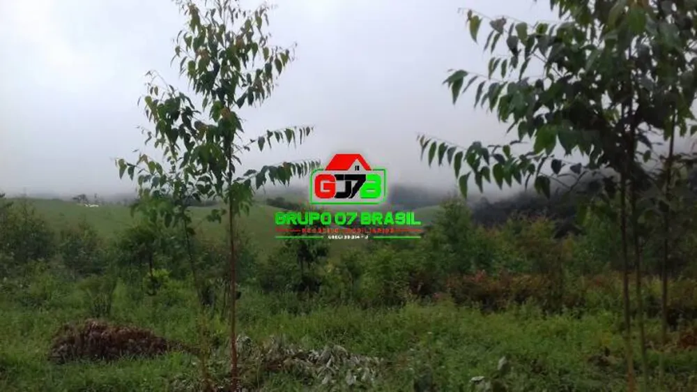 Terreno, 3 hectares - Foto 7