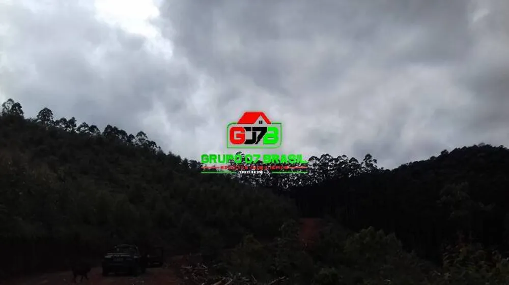 Terreno, 3 hectares - Foto 12