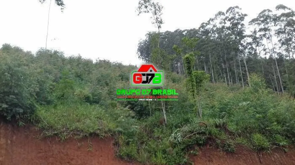Terreno, 3 hectares - Foto 3