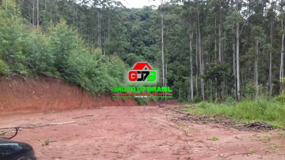Terreno, 3 hectares - Foto 1