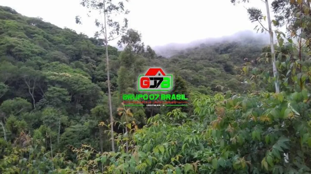 Terreno, 3 hectares - Foto 4